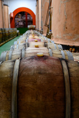 Traditional winery bodega on south of La Palma island with steel or concrete casks and wooden barrels in wine cellars, wine production on Canary Islands, Spain © barmalini
