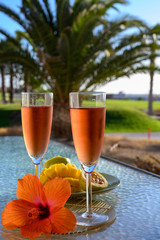 Two glasses of rose bubbles champagne or cava wine served outside on paradise island with palms and green grass