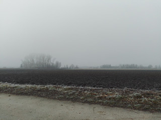 Naklejka premium Fog