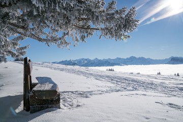 Mount Rigi