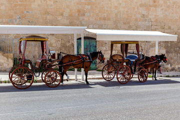 A traditional carriage karozzin is pulled by a horse