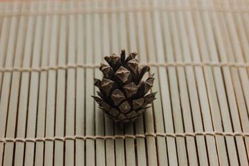pine cone on wooden background