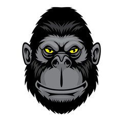 Funny monkey. 