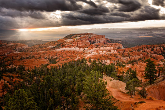 The first sun rays hit the hoodoos at the Bryce Canyon, Utah