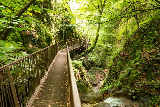 long footbridge in a ravine in the wood