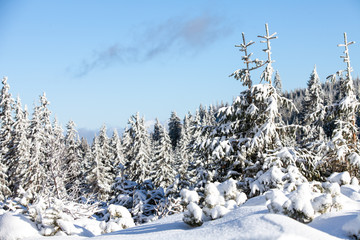 widok z gór w kapraczu, w zimowej scenerii z choinkami