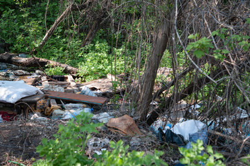 many scattered trash and garbage among green grass and trees in forest