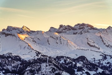 SUISSE-VIEW Photography