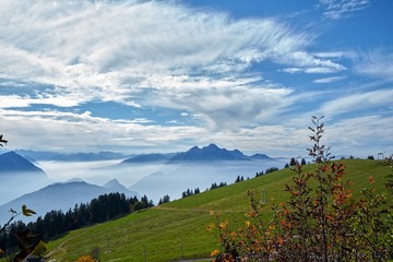 SUISSE-VIEW Photography