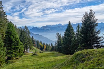 SUISSE-VIEW Photography