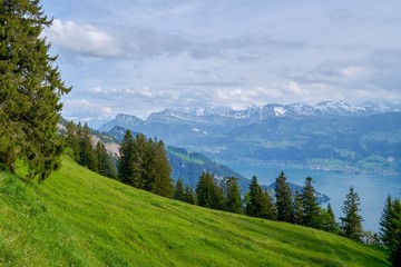 SUISSE-VIEW Photography