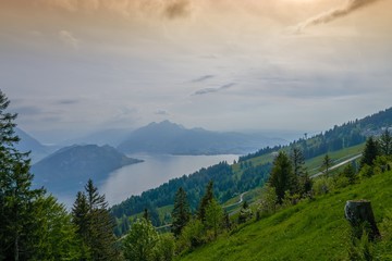 SUISSE-VIEW Photography