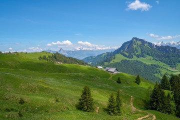 SUISSE-VIEW Photography