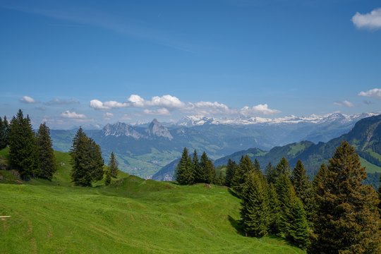 SUISSE-VIEW Photography