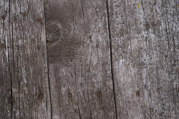 Old wooden texured surface closeup. Moss and relief on surface. Stock photo of old wooden pattern of aged boards with moss. Brown and gray colors on photo.