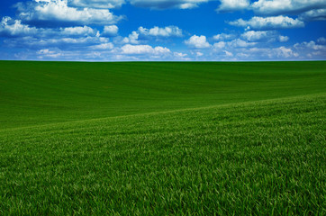 Abstract natural background