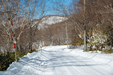 圧雪路　積雪した木々に囲まれた峠道