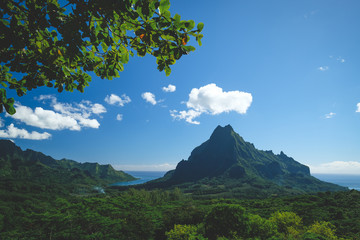 panorama view of mountain in Moorea (Tahiti)