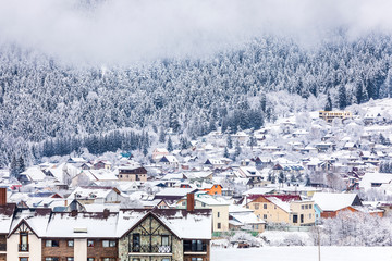 Fototapeta na wymiar Village in a coniferous forest in the mountains in winter