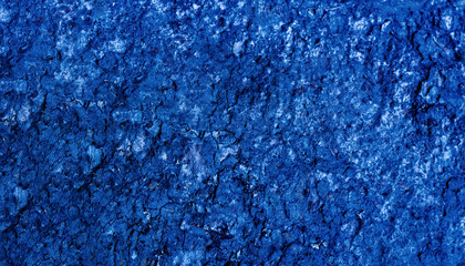 Natural background of blue wooden textures. Concept of wildlife.Close-up