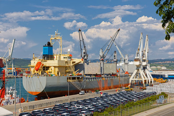 Fototapeta premium Large industrial port with cranes and cargo containers