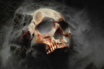 Skull of a dead man in on the ground