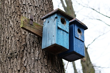 Birdhouse in the forest.
