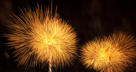 Nice, colorful fireworks abstract in the evening