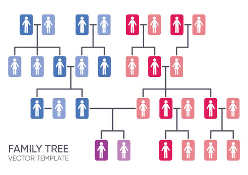 Simple Vector Family Tree Design Template Genealogy Concept