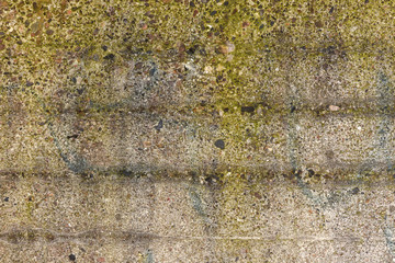 texture of concrete