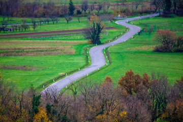 a zigzag road coming from the forest