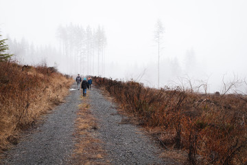 Obraz premium family walking down foggy forest road 