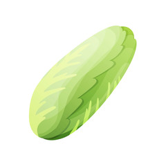 Kale fresh vegetable vector concept. Healthy diet flat style illustration. Isolated green food, can be used in restaurant menu, cooking books and organic farm label