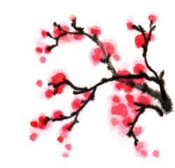 Pattern. Blooming branch of may plum tree, sakura. Ink graphic image. Oriental, chinese, japanese, korean style. Set of flowers in ink.
