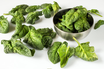 tasty spinach leaves. healthy food concept