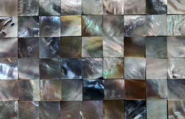 Mother of pearl sea shell close up background