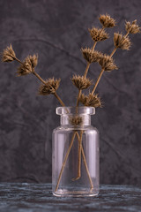 Dry branches of flowers in a glass vial closeup.