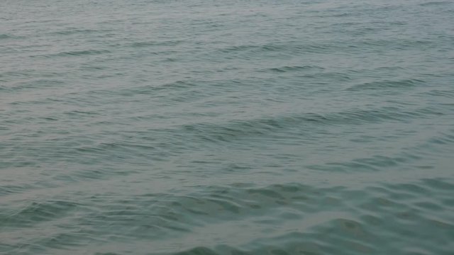 clam motion sea wave. ocean surface texture.