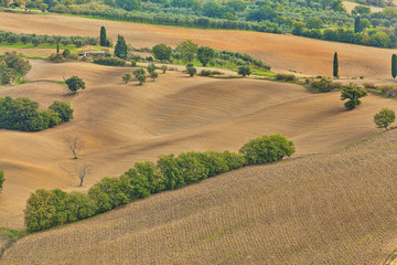  landscape of hills tuscany in autumn in Italy