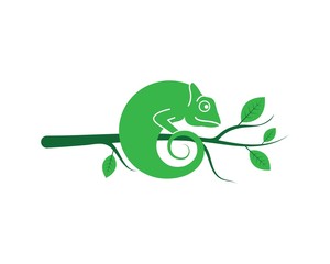 chameleon vector icon logo illustration design