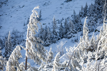 zimowy krajobraz z gór, biały śnieg