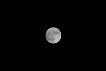 Obraz premium Full moon on a dark night