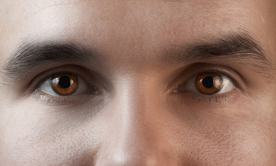 Brown eyes close up. Man looking at the camera