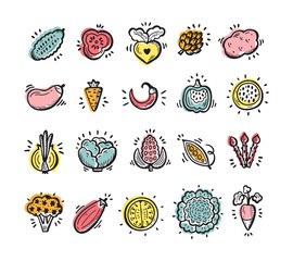 Food set. Doodle Vegetables icons. Vector illustration