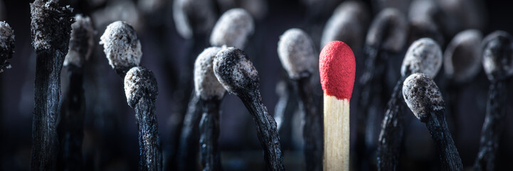 Group Of Burnt Matchsticks With One Survivor - Employee Hiring / Leadership Concept - obrazy, fototapety, plakaty