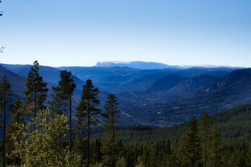 Hardangervidda Norway