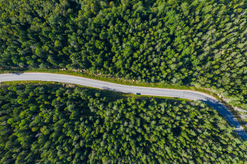 The time of year is summer. Road through a country of pine forests and lakes aerial view