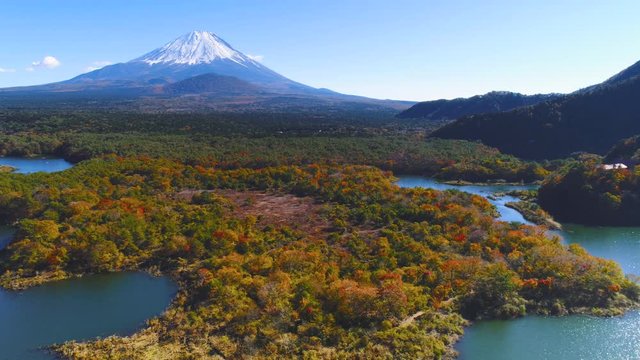 青木が原樹海と富士山空撮