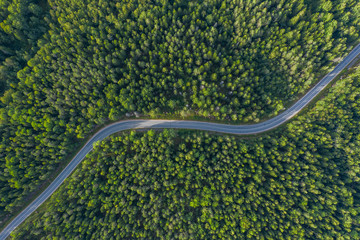 The time of year is summer. Road through a country of pine forests and lakes aerial view