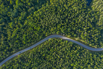 The time of year is summer. Road through a country of pine forests and lakes aerial view